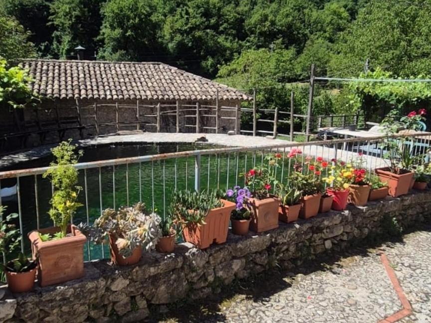 Appartamento Umbria Valnerina , Il Tartuffo, Near Spoleto Scheggino Esterno foto